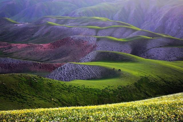 西藏最高的海拔是哪里的 02568d701d92414cae55eb8fe8f8c629.jpeg