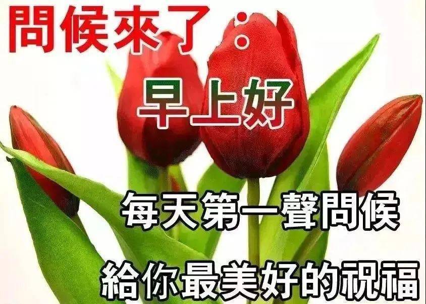 大家早上好,感恩有你,友谊万岁!