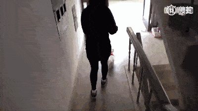 狗子病重主人擔心它是不是快要死了，送去醫院檢查：沒病，就是演技太好了… 萌趣萌寵 第8张