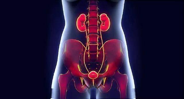 肾结石是怎么得的病 677befd514004d59a02a18873a04d074.jpeg