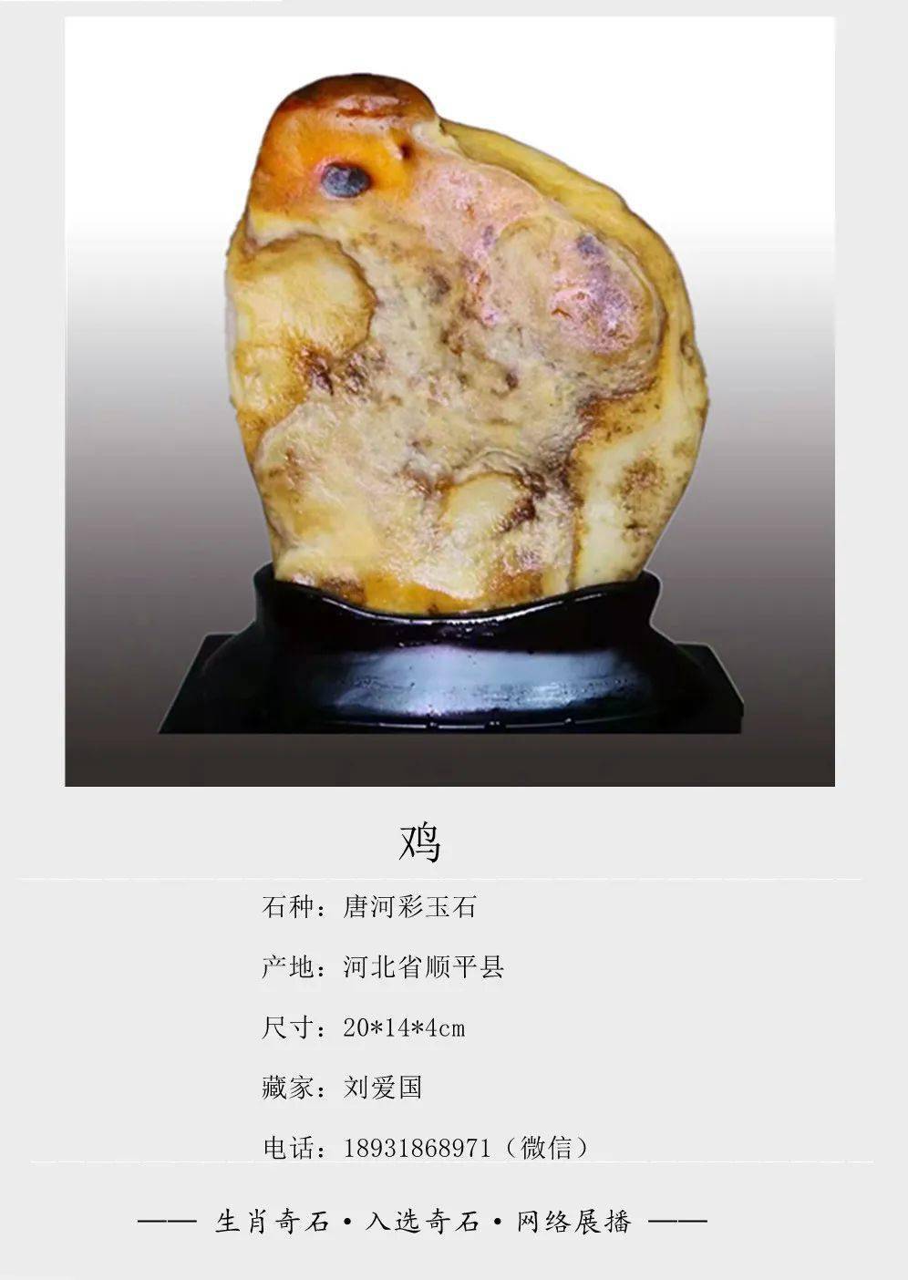 《生肖奇石》展播开始了!入展作品登场!欢迎观展欣赏!