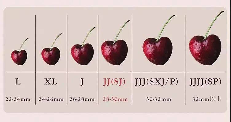 对车厘子规格级别的划分还有另一种方式目前,美国和加拿大等北半球