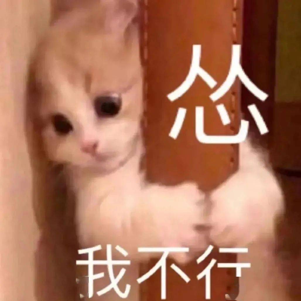 期待已久的壁纸头像表情包cheers