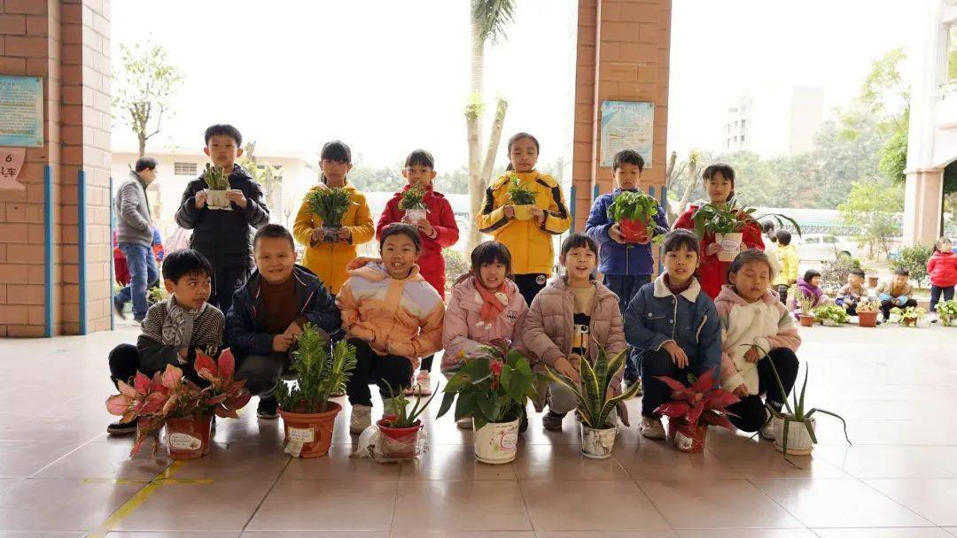 芬芳校园花满园—桃园小学"小小花王"评比结果出炉_冯俊