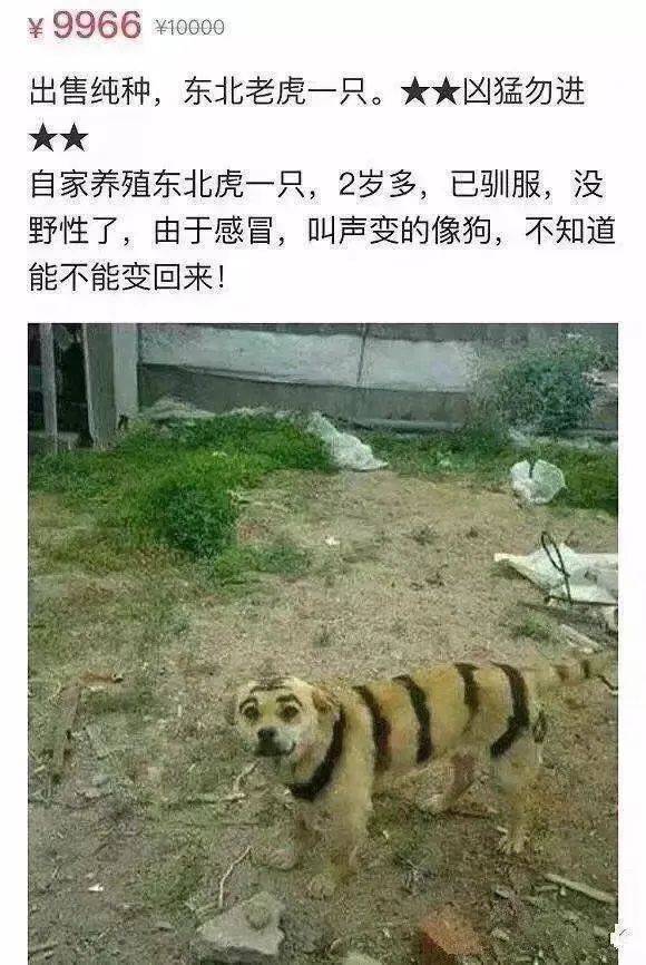 "父亲的耳光一次100块."哈哈哈笑死我有什么好处