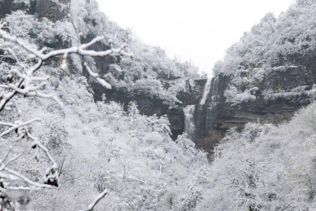 【自驾目的地】南国醉美雪景,昭通小草坝闻名的不止天麻!