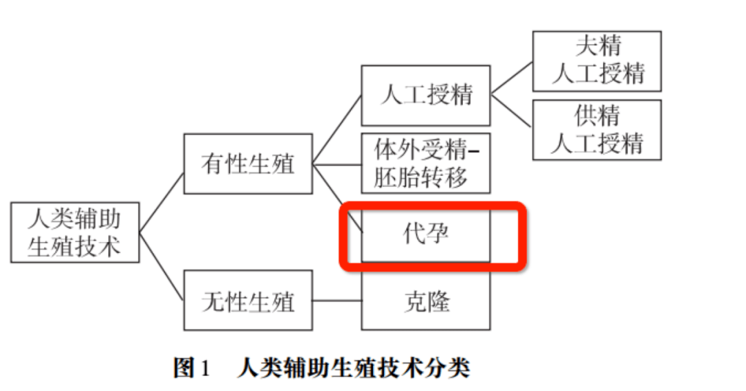 姚红,陈凯欣,陈丽云.人类辅助生殖技术相关国际政策实践以及启示[j].