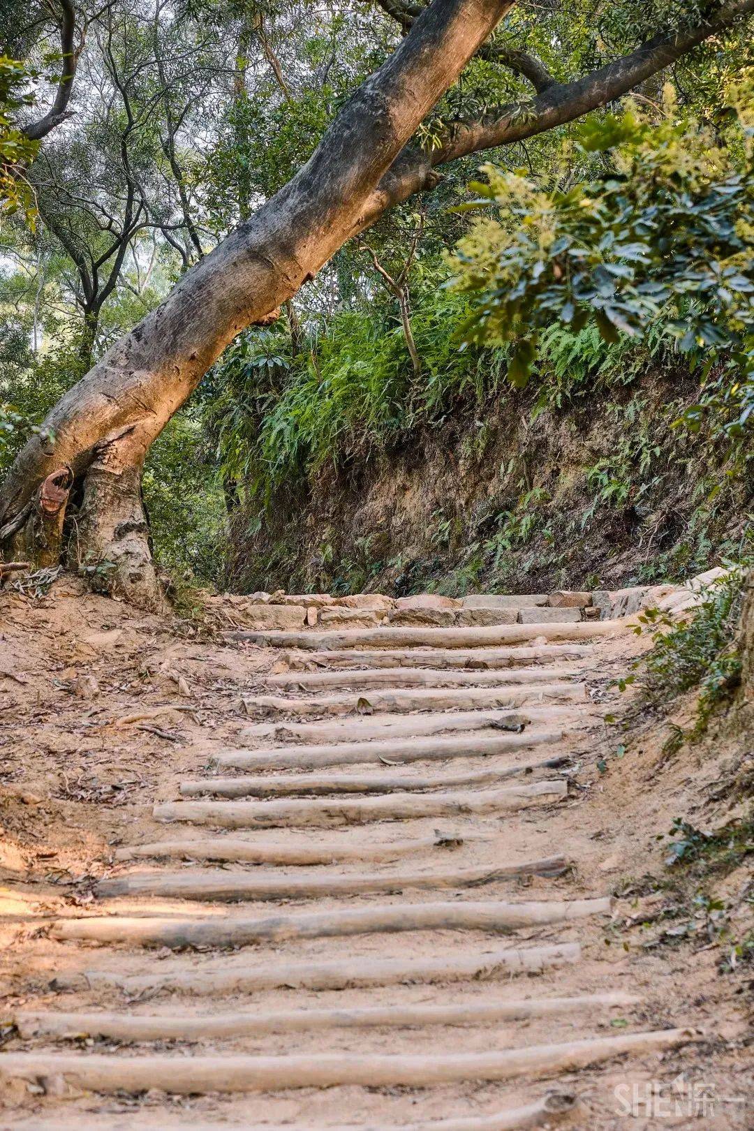 乘地铁来手作步道登山山山山山啦!