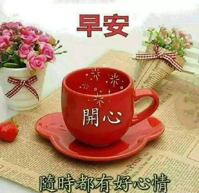 冬天鲜花早上好表情问候语,早安顺心如意,每天都是快乐的开始!