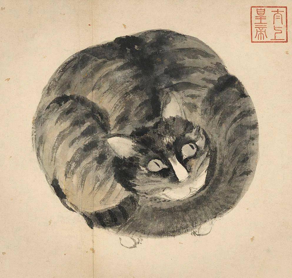 喜爱画猫的看过来