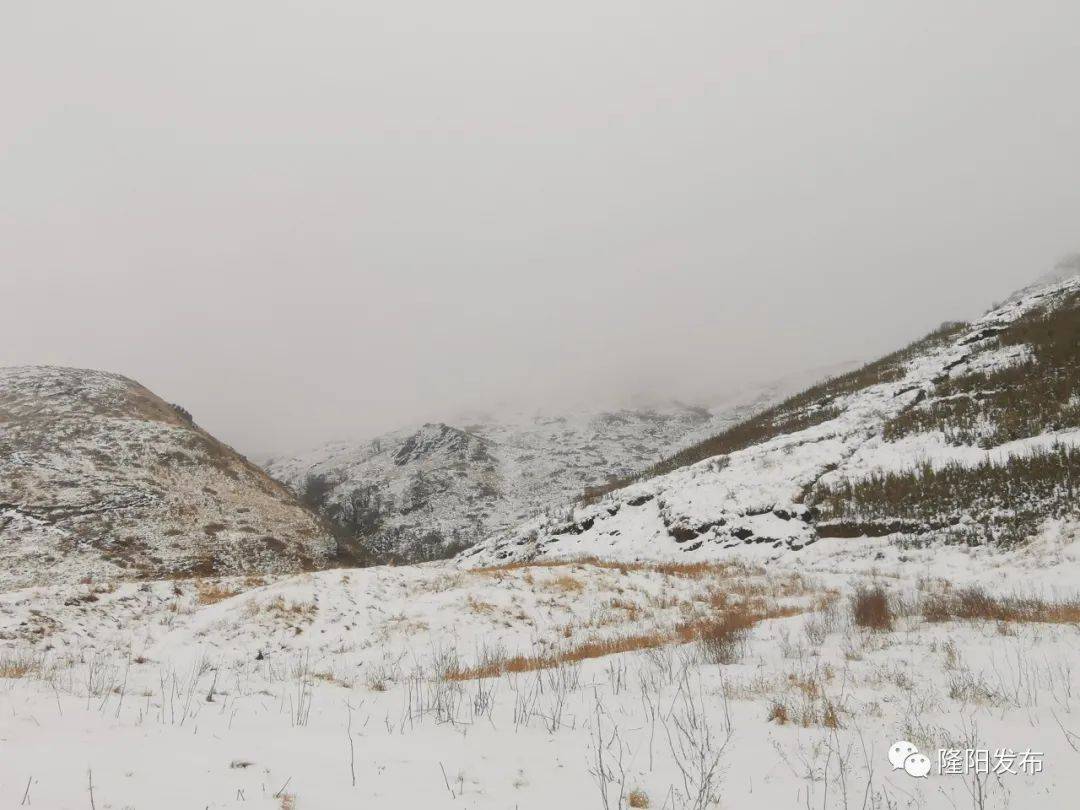 最美不过下雪天~隆阳2021年的第一场雪美了香柏场,也美了道人山!