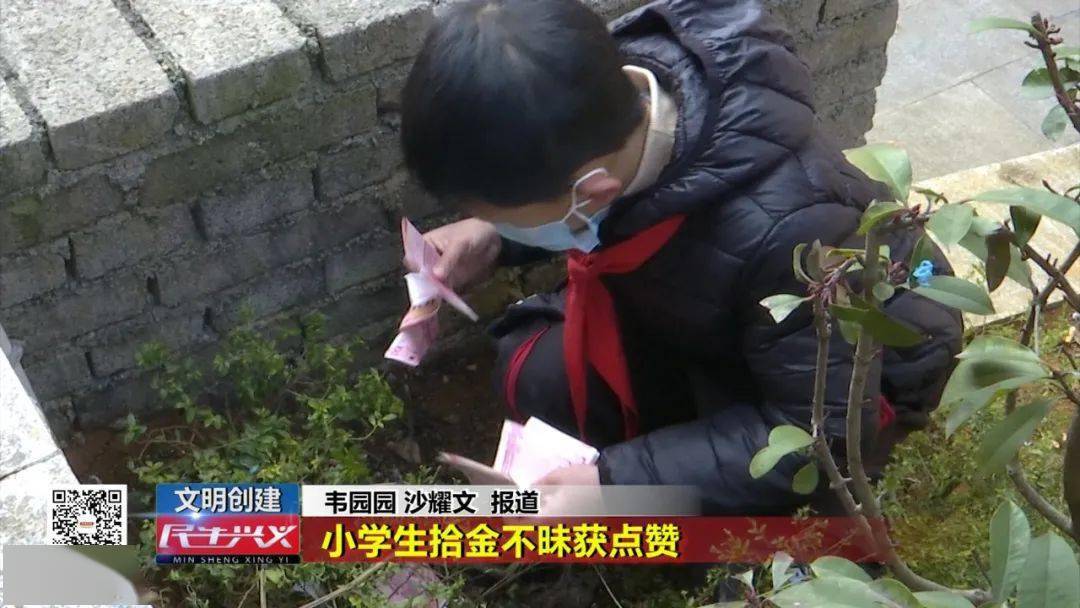 民生兴义文明创建小学生拾金不昧获点赞