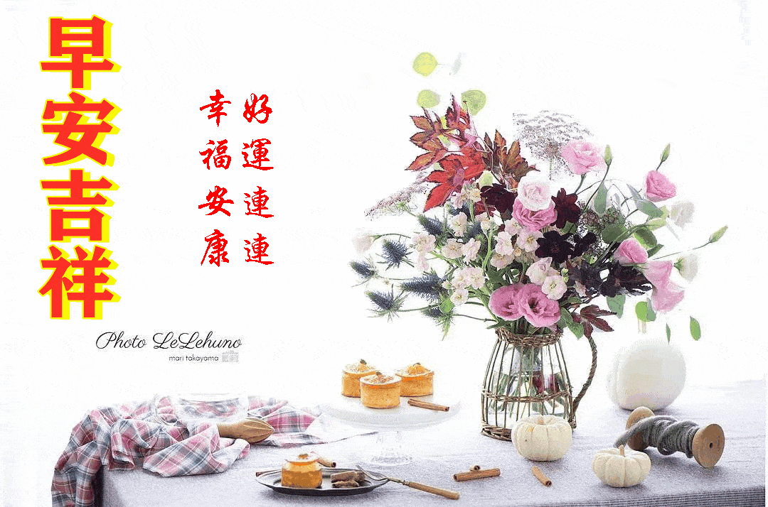 心房我们畅所欲言温柔了檐下的月亮诉几许好梦送走黄昏明媚了窗前的朝