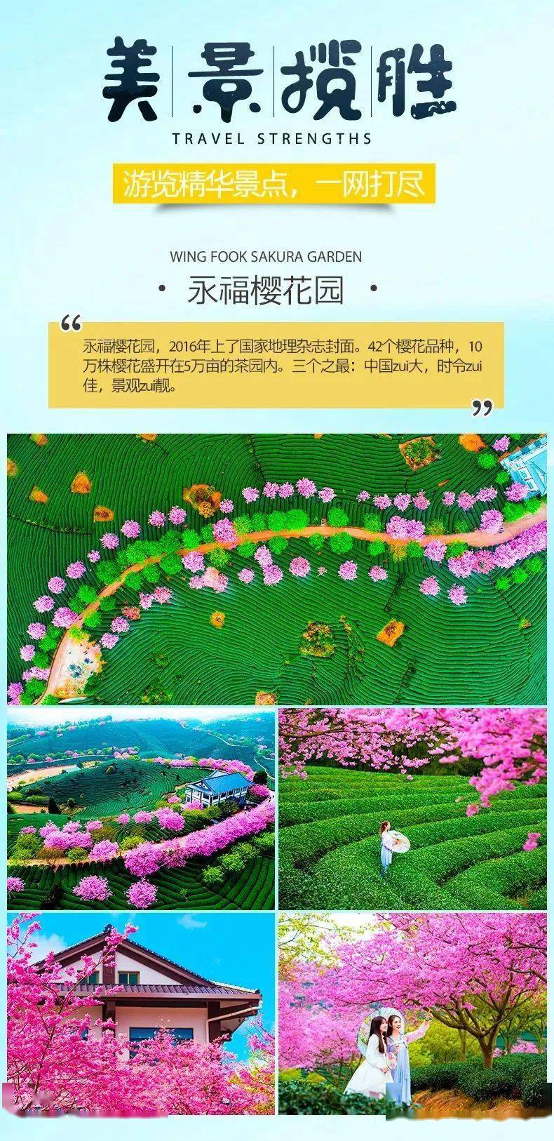 中国最美樱花胜地:永福樱花园