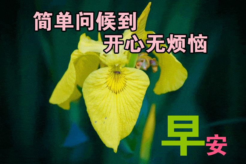 早安!