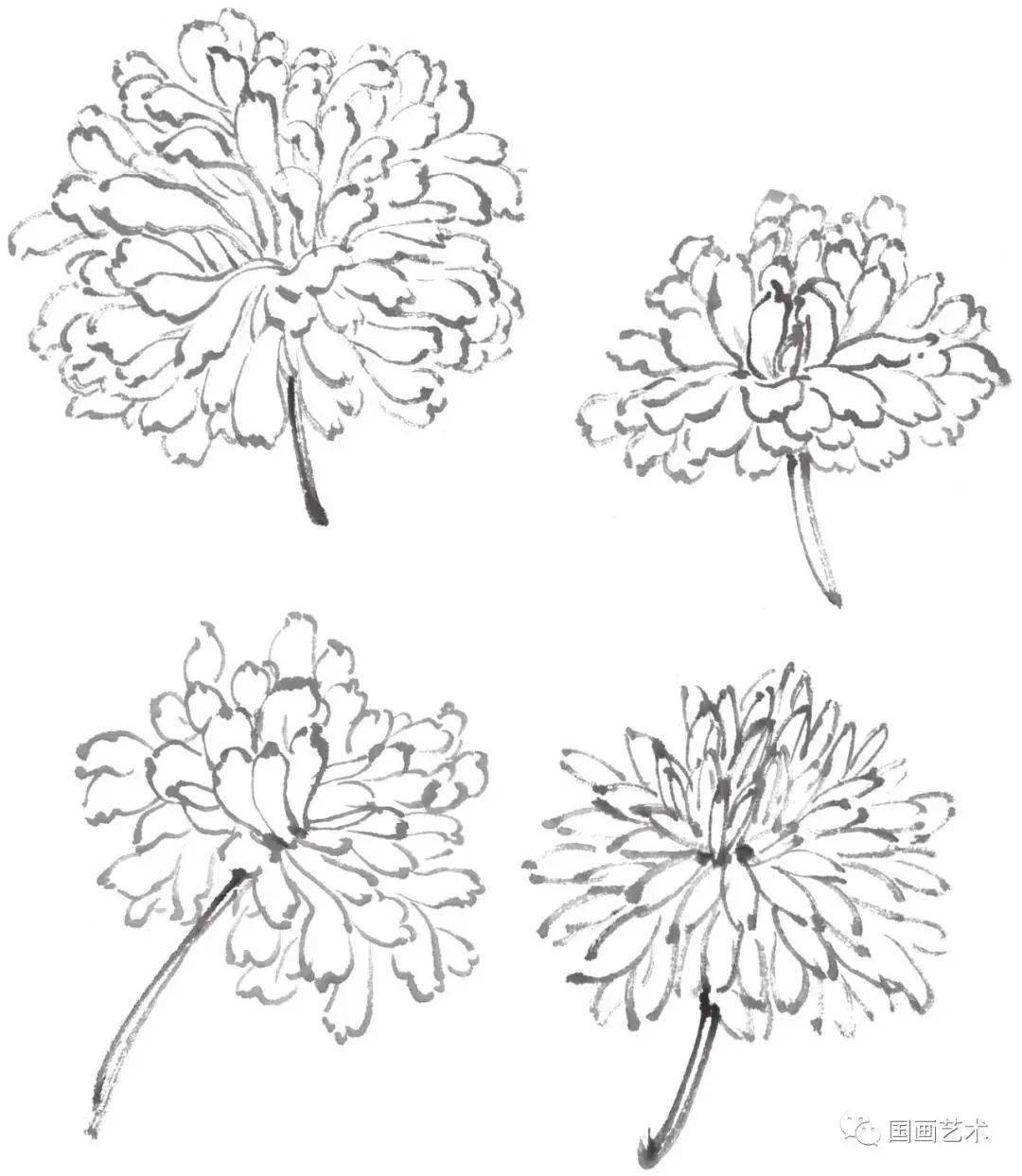 图文教程:简单易学的写意菊花,菊叶画法步骤