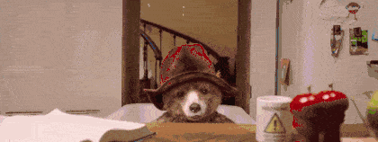 420_158gif 动态图 动图