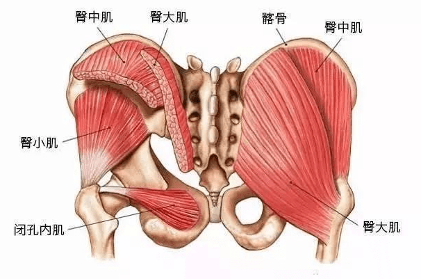 厦门初中男生腰痛1个多月,竟因这里"失忆"了!久坐的人要注意了