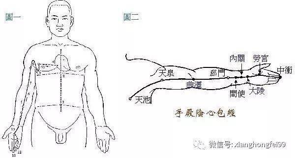 拍打手臂上的一条线,可化解心郁,补脾气,提高免疫力