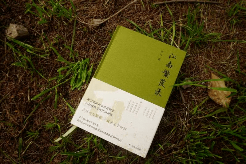徐风笔下民间的江南,再造了多义的江南,也续写了当代的江南
