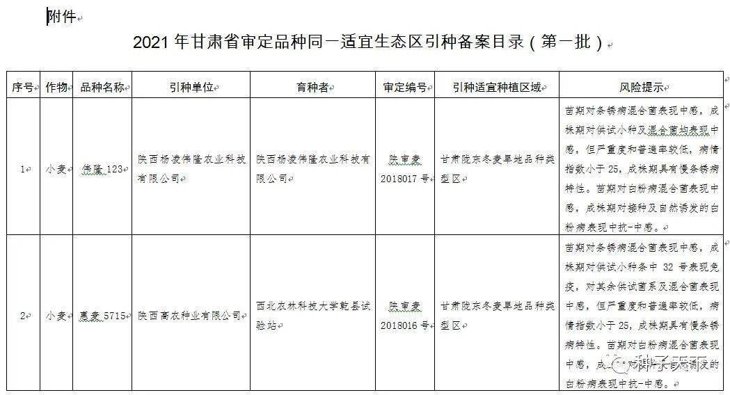 甘肃引种备案99个小麦和玉米品种!