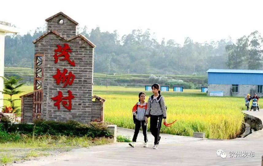 福旺镇茂坳村