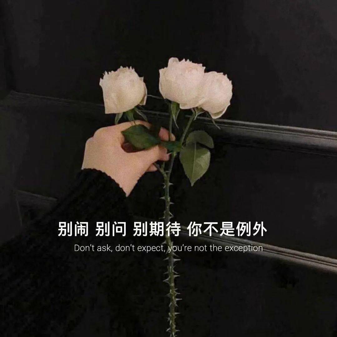 朋友圈背景图/1/29