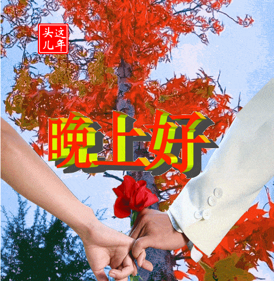 不用打字就可以聊天的图片