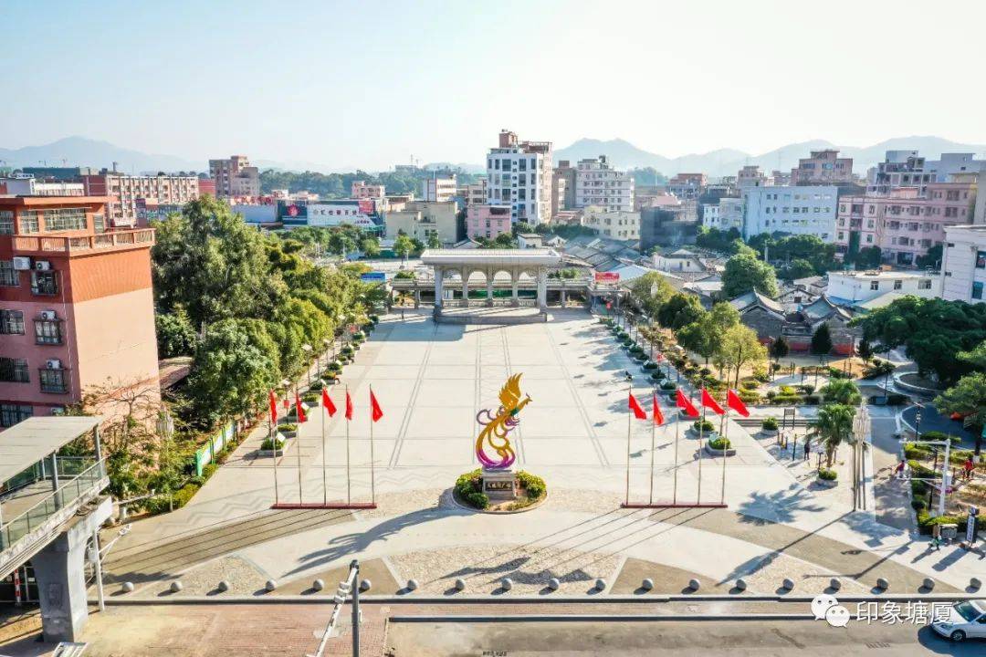 塘厦这个社区获广东省委,省政府表彰!