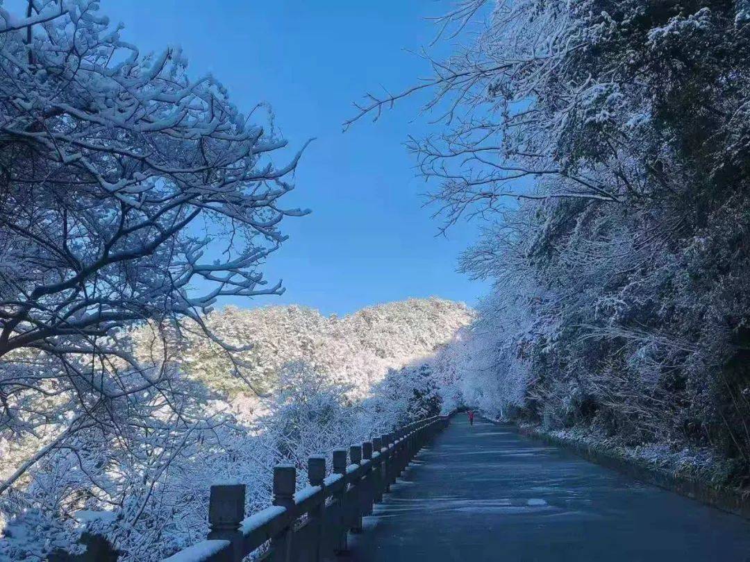 雪后初晴与阳光相拥武陵山的雪颜值巅峰