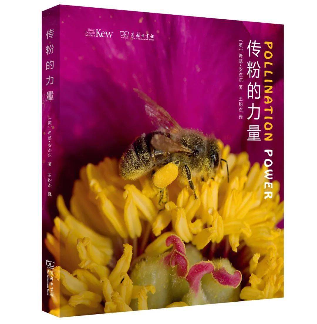 从蝴蝶的双翅到蜜蜂的后足,再到贪吃花蜜的鸟儿头部的纤羽,无一不是