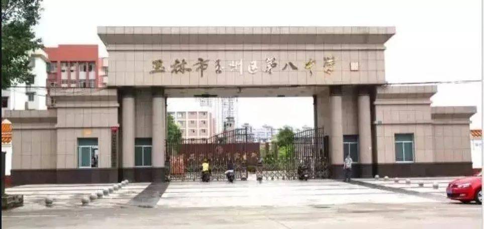 城南实验小学,玉州区第二实验初级中学,玉州区第八中学,玉林高中南