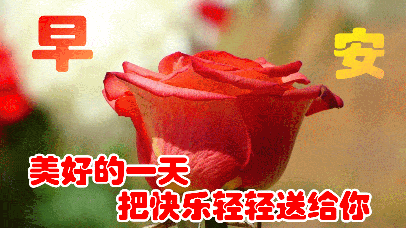 2021朋友圈早上好唯美图片祝福语录短信,新版早安慰问动态美图问候语
