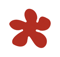 给,送您一朵不一样的春节