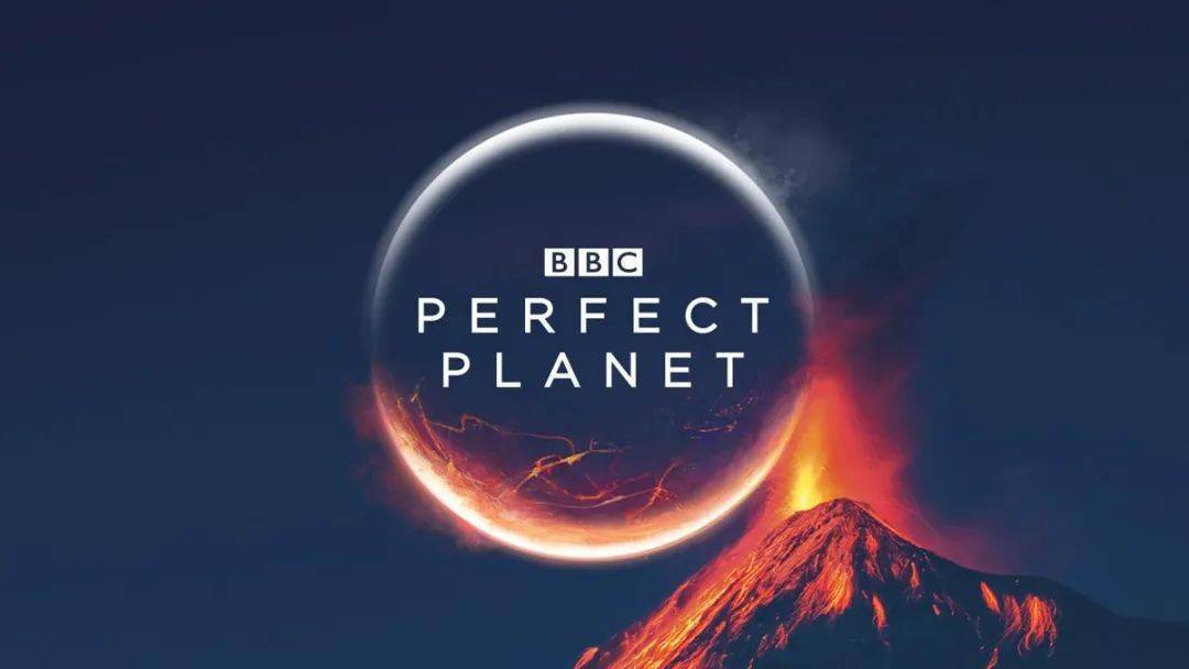 8分!bbc开年神作《完美星球》,每一帧都是视觉享受!