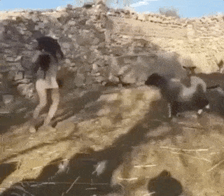 笑画连篇休妻爆笑动图第22辑