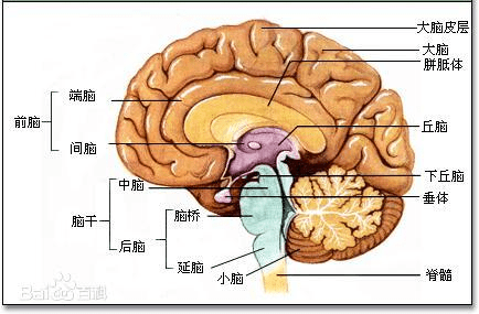 如何用黄金圈法则赋能你的产品
