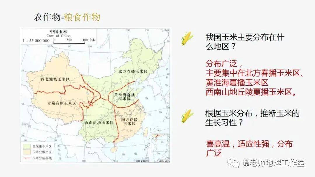 备考干货盘点中国常见农作物的习性和地区分布小知识附课件