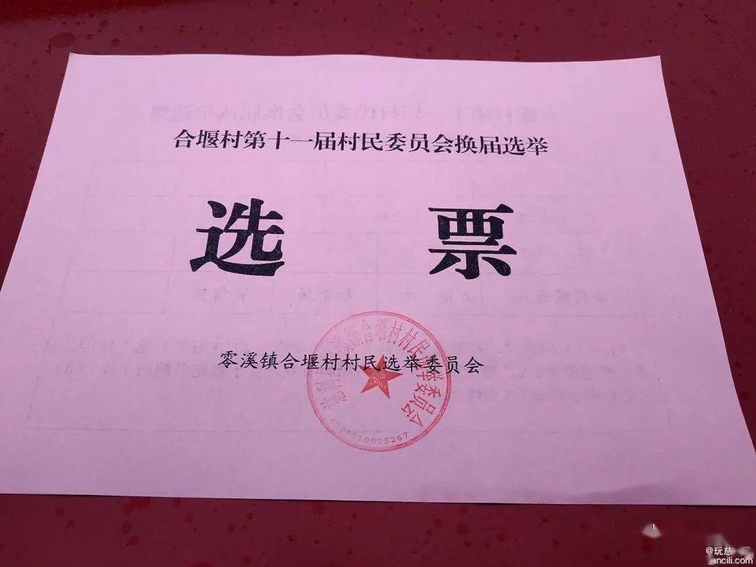 这就是合堰村第十一届村民委员会换届选举的选票,整体呈红色,a5纸