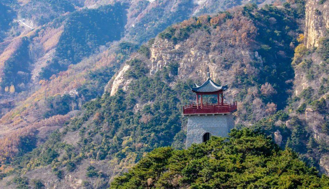 在2021冬春之交,干点"正事"吧!