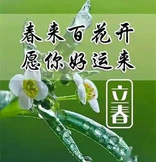 立春啦送您五个字