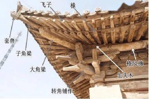 中国古代建筑的木结构体系适应性很强.