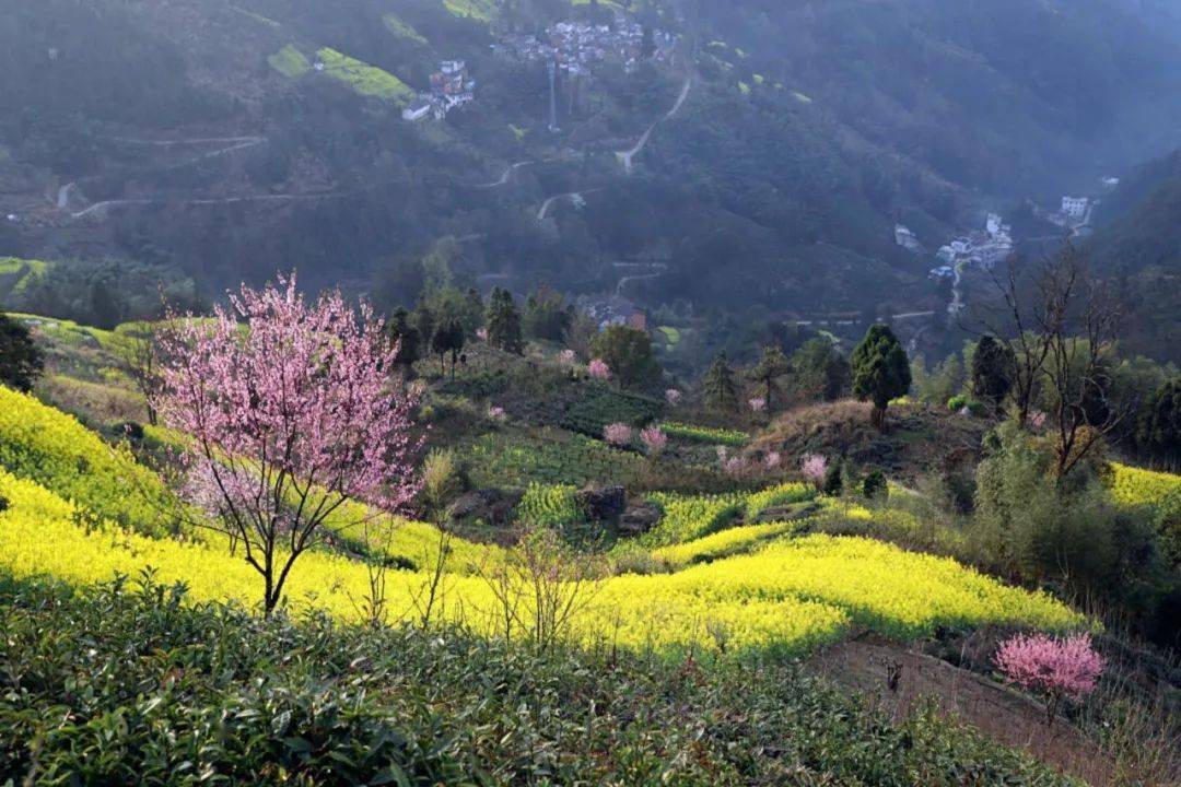 大洲源,一个只存在民国时期的名字,或许更久远,如今只有一条小河叫