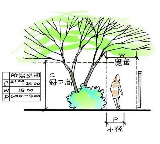 如何做好一个小花园,小庭院?(尺寸,植物详解)