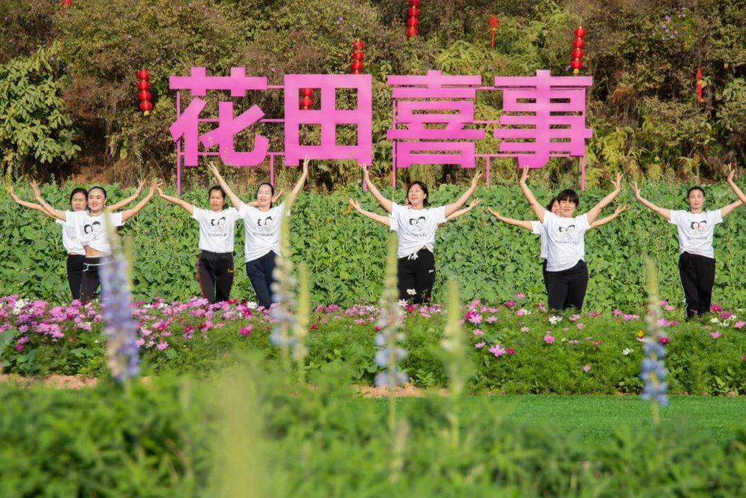 千亩七彩花田正式开放等你在桥头