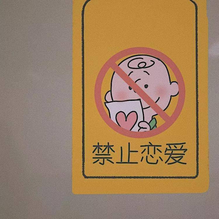 (图源网络,侵删致歉,鞠躬)举报返回搜狐,查看更多