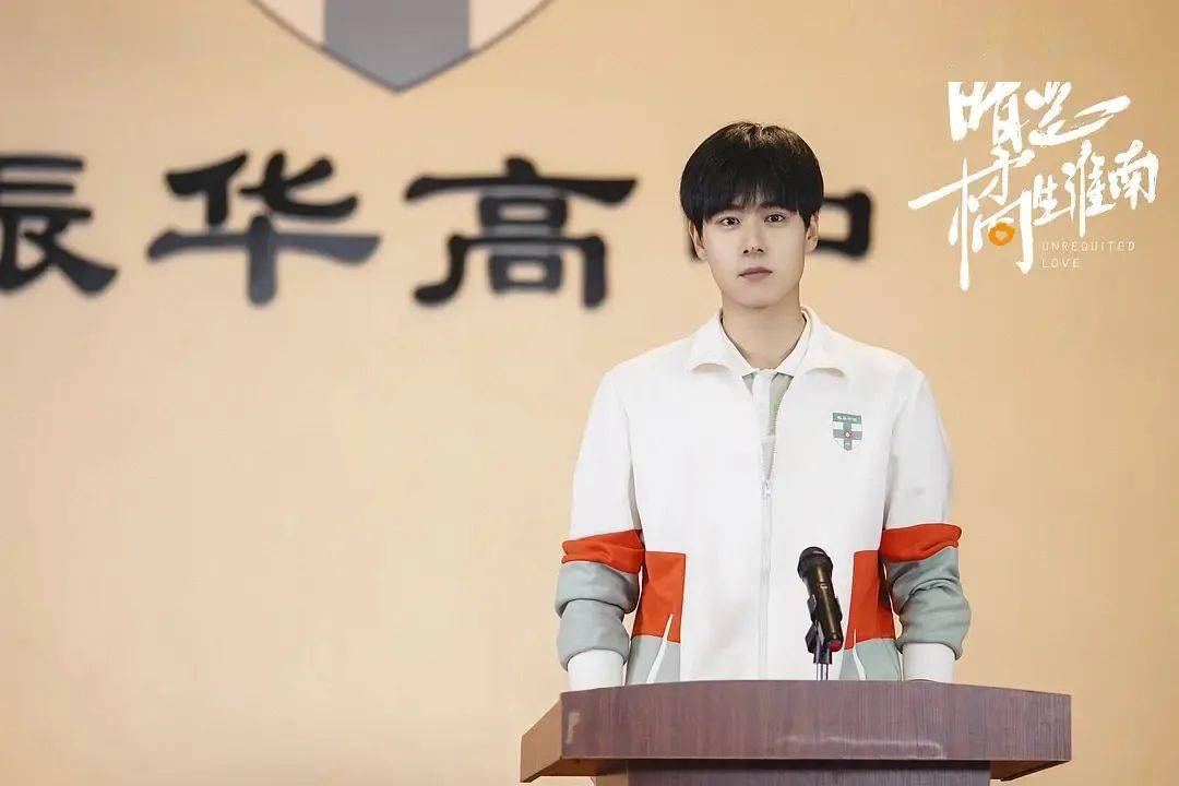 胡一天饰演的盛淮南, 长相帅气,成绩优秀,是振华高中理科班永远的年级