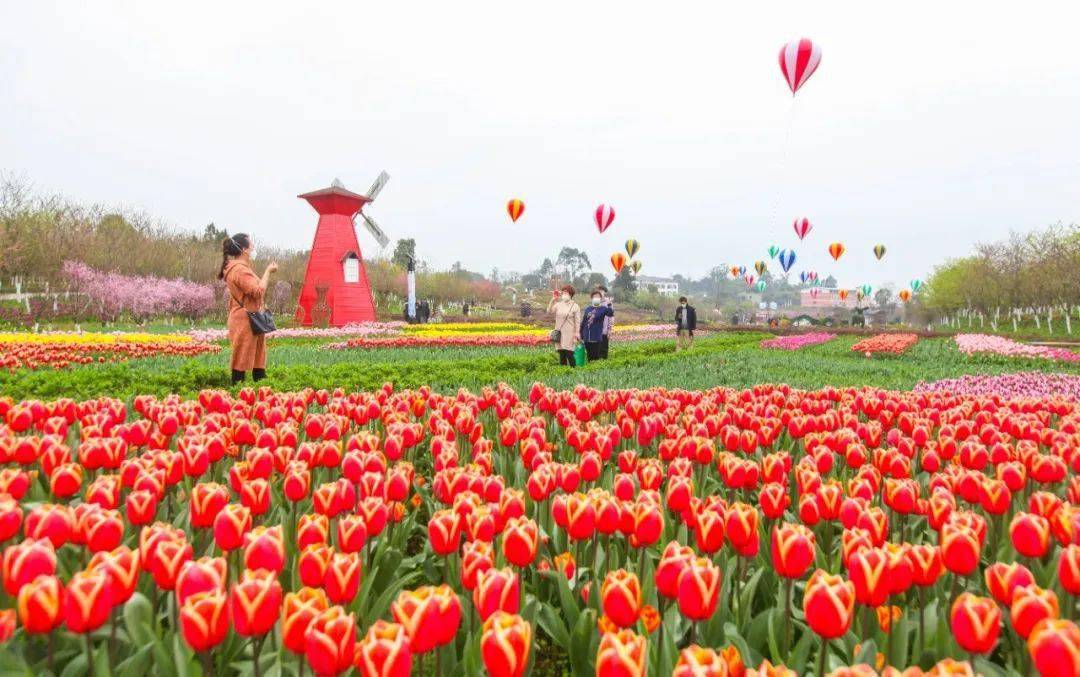 牡丹樱花世界春季赏花季即将开启,你准备好了吗_垫江