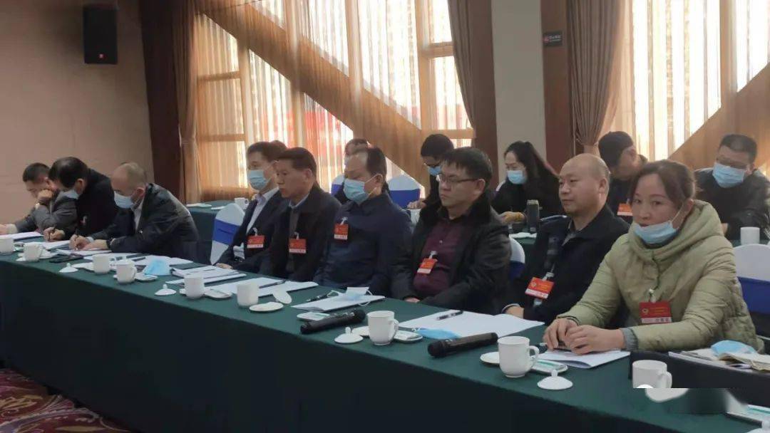 冯勇参加政协经济联组讨论时强调: 发挥优势 担当作为 助力陕州经济