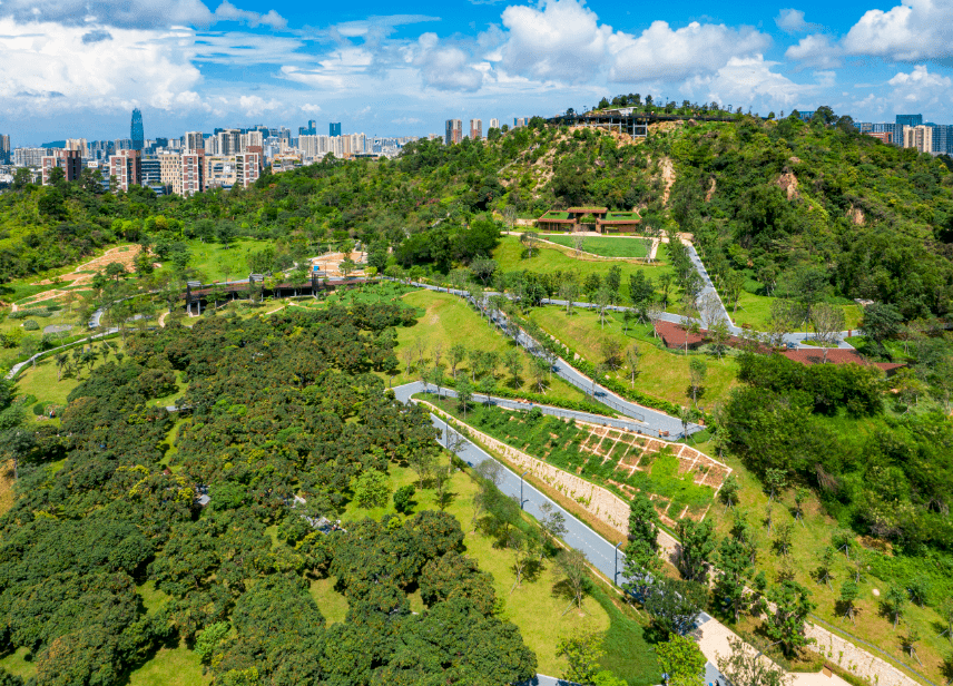 南山赏花网红地大集合,来场浪漫邂逅吧!_公园